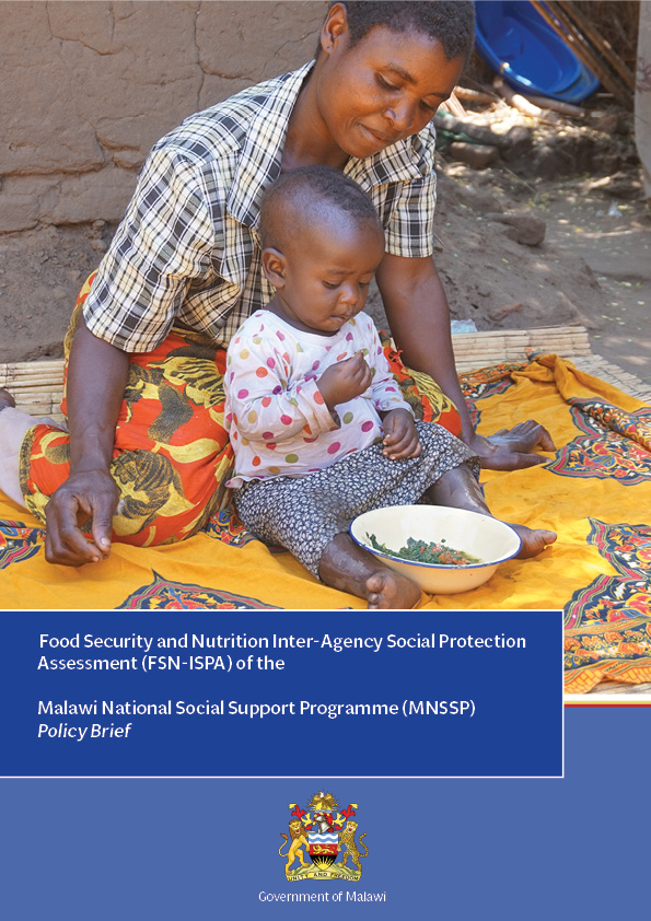 FSN-ISPA, Policy Brief, Title Page